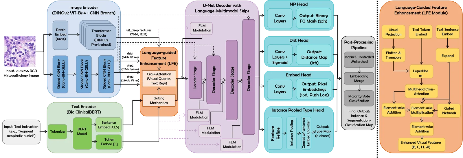 CIPS-Net architecture diagram